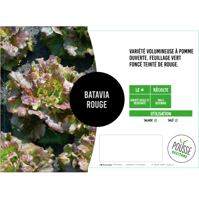 Batavia rouge Marinski