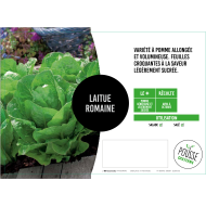 Laitue romaine Icarus