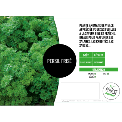Persil frisé ou double Verbo