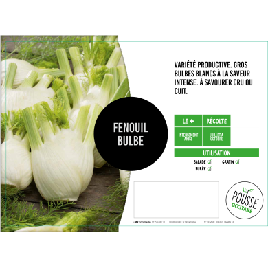 Fenouil (bulbe) Orion