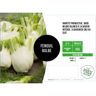 Fenouil (bulbe) Orion
