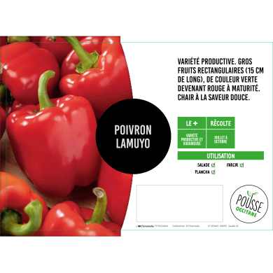Poivron vert/rouge
