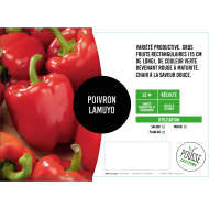 Poivron vert/rouge