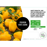 Poivron vert/jaune