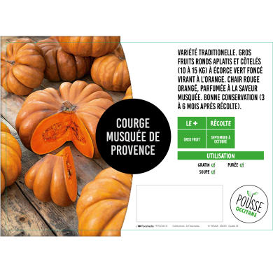 Citrouille Musquée de Provence