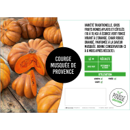Citrouille Musquée de Provence
