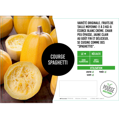 Courgette spaghetti