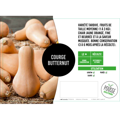Courge longue Butternut