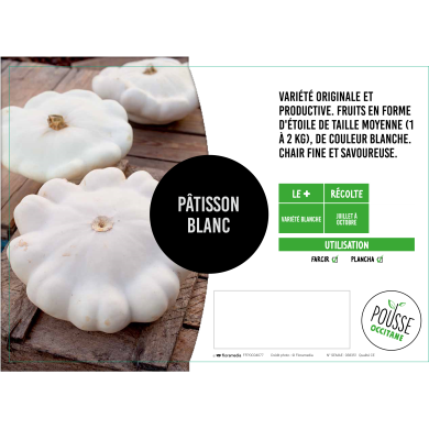 Pâtisson blanc