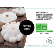 Pâtisson blanc