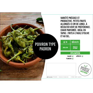 Piment padron tapas