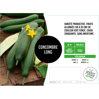 Concombre long lisse