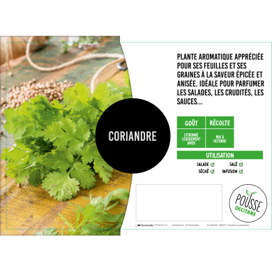 Coriandre