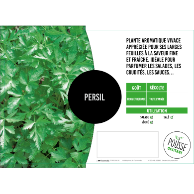 Persil simple