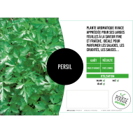 Persil simple