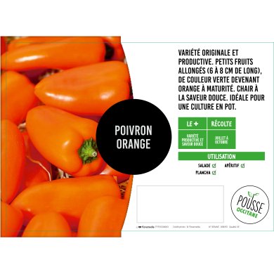 Poivron snacking orange