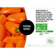 Poivron snacking orange