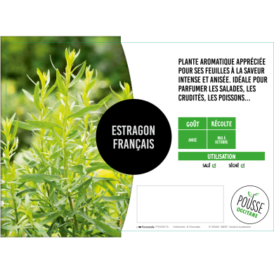 Estragon français