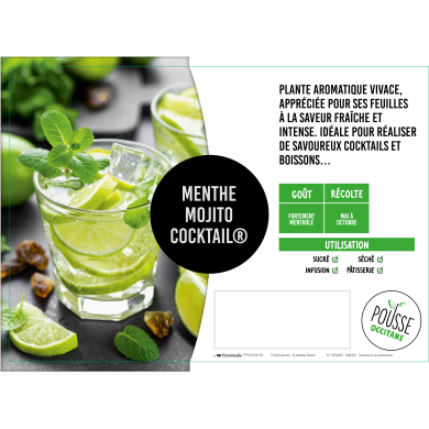 Menthe Mojito