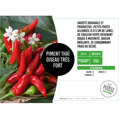 Piment fort Oiseau
