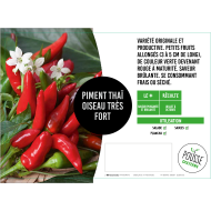 Piment fort Oiseau