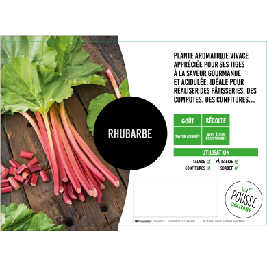 Rhubarbe