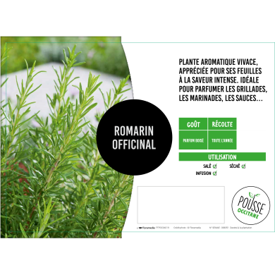 Romarin officinal