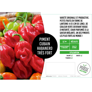 Piment mexicain Habanero