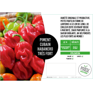 Piment mexicain Habanero