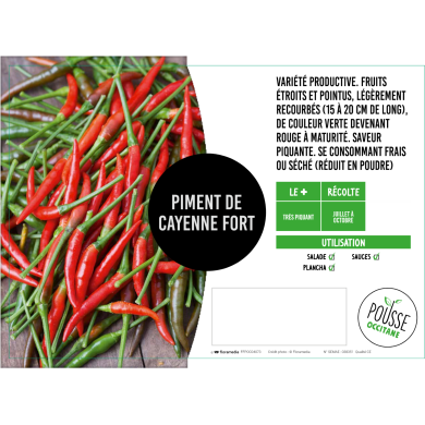 Piment fort de Cayenne