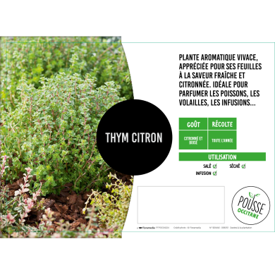 Thym citron