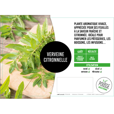Verveine citron