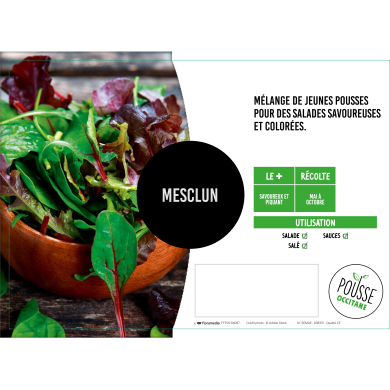 Mesclun (mélange de plusieurs salades)