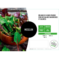 Mesclun (mélange de plusieurs salades)