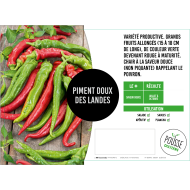 Piment doux des Landes