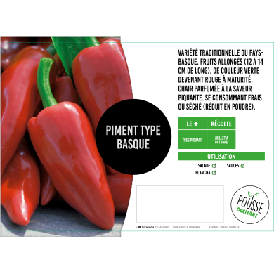 Piment Basque