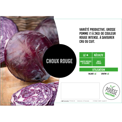 Chou rouge (toute saison)