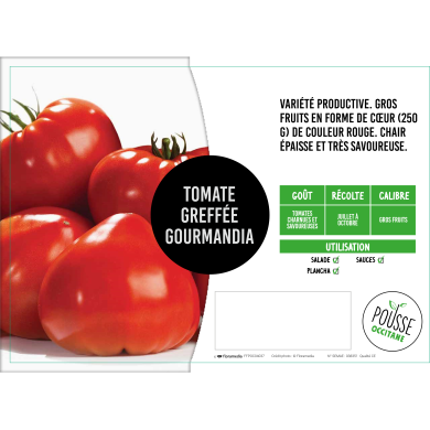 Tomate greffée Gourmandia