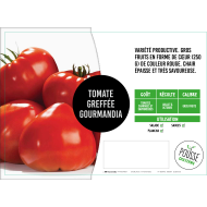 Tomate greffée Gourmandia