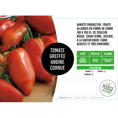 Tomate greffée Andine cornue