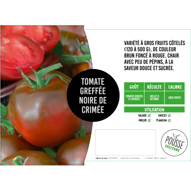 Tomate greffée Noire de Crimée