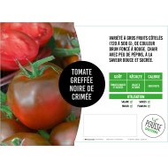 Tomate greffée Noire de Crimée