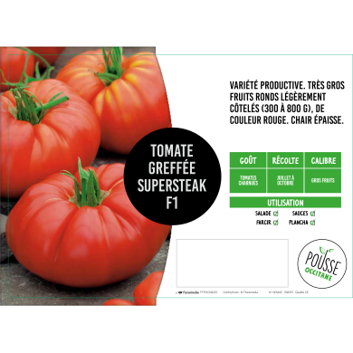 Tomate greffée Supersteack