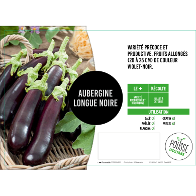 Aubergine longue
