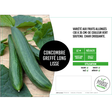Concombre long greffé Aramon