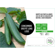Concombre long greffé Aramon