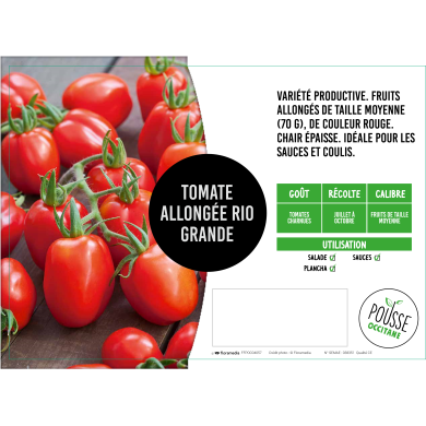 Tomate allongée type Roma