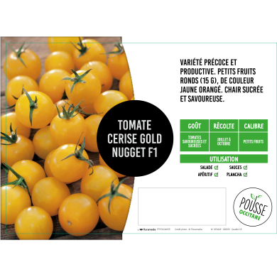 Tomate cerise jaune