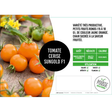 Tomate cerise orange