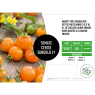 Tomate cerise orange